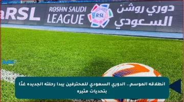 انطلاقة الموسم.. الدوري السعودي للمحترفين يبدأ رحلته الجديدة غدًا بتحديات مثيرة